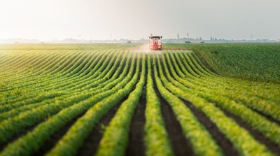 El sector agrícola constituye una apuesta interesante como complemento a su cartera; eso sí, en su justa medida.